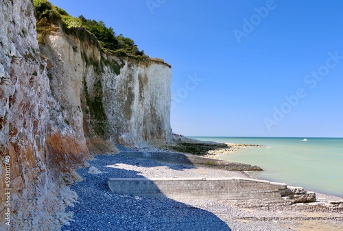 Canvas Print Falaises de bois de Cise