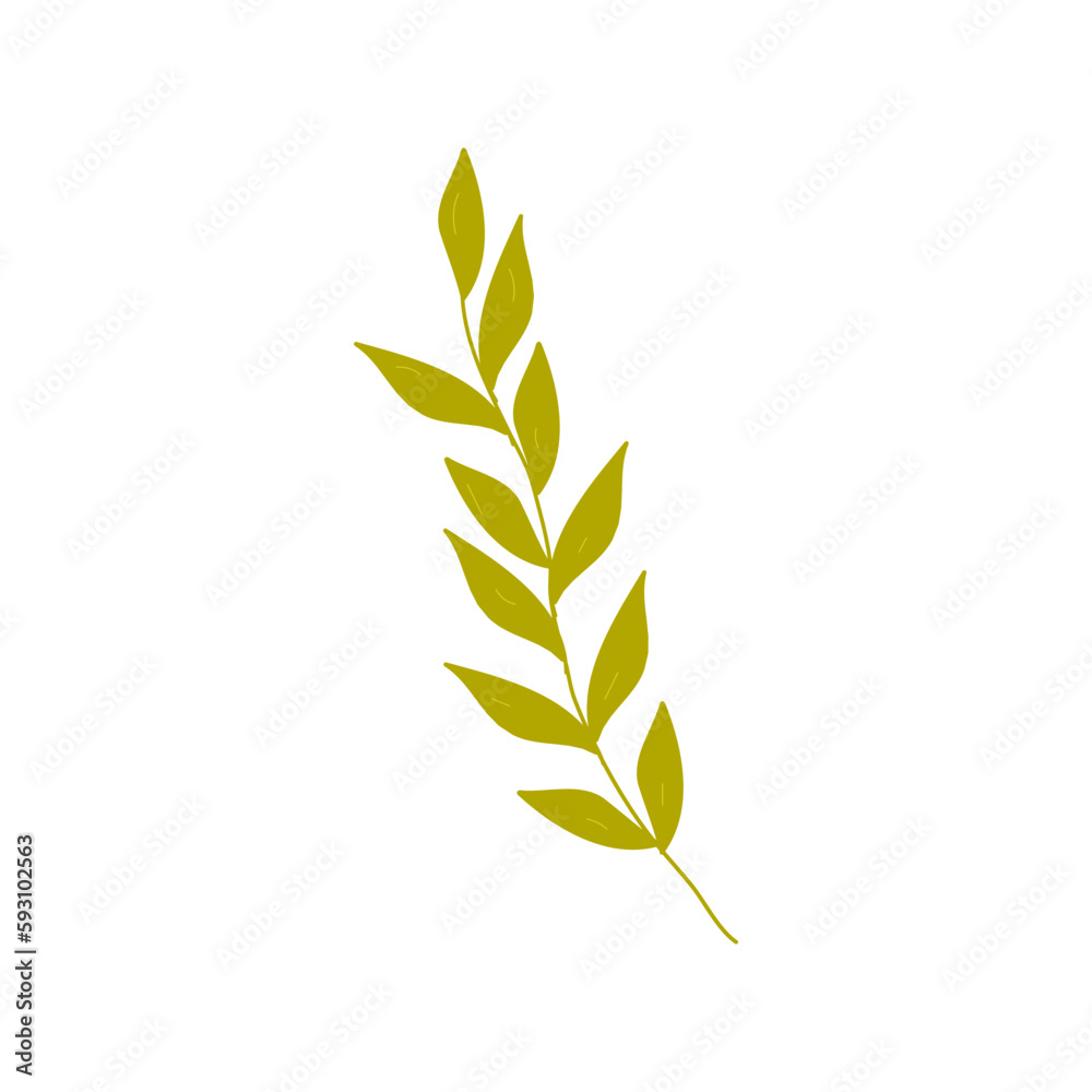 Elements of botany underwater marine plants, flora. Algae and corals. Design of a summer banner, poster. Isolated vector flat illustration. Elements of botany underwater marine plants, flora. Algae and corals. Design of a summer banner, poster. Isolated vector flat illustration.