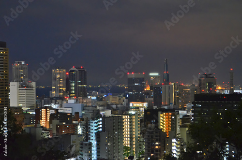 都会の夜　大都市の夜景 © richi.a7