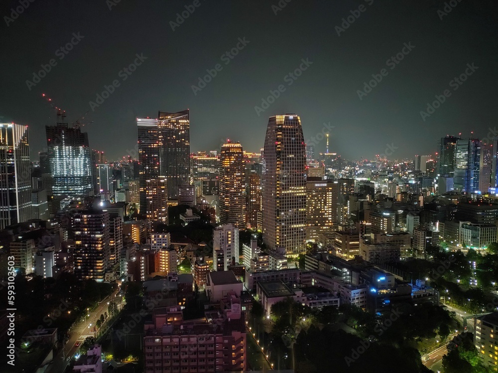 東京の夜景　大都会　首都の夜
