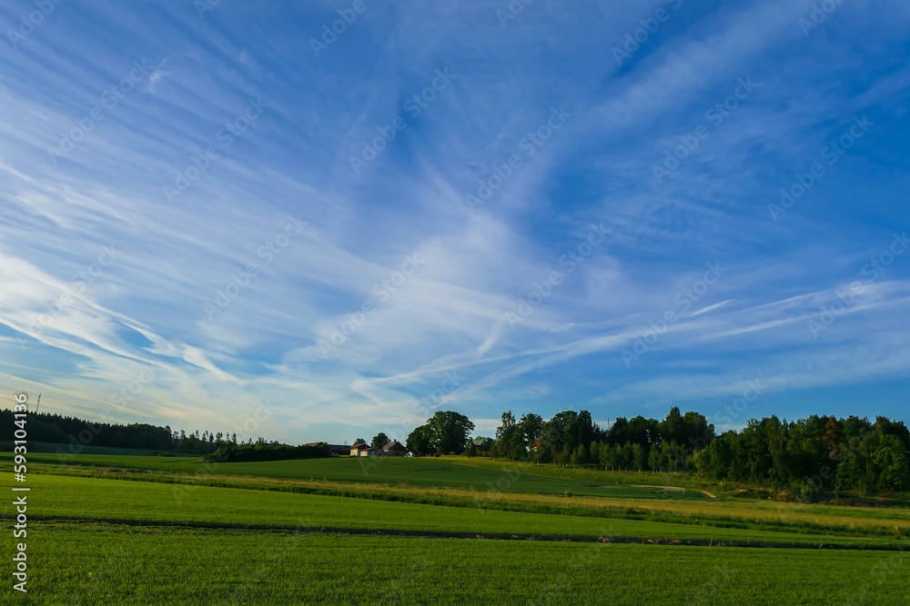 field and blue sky field and blue sky