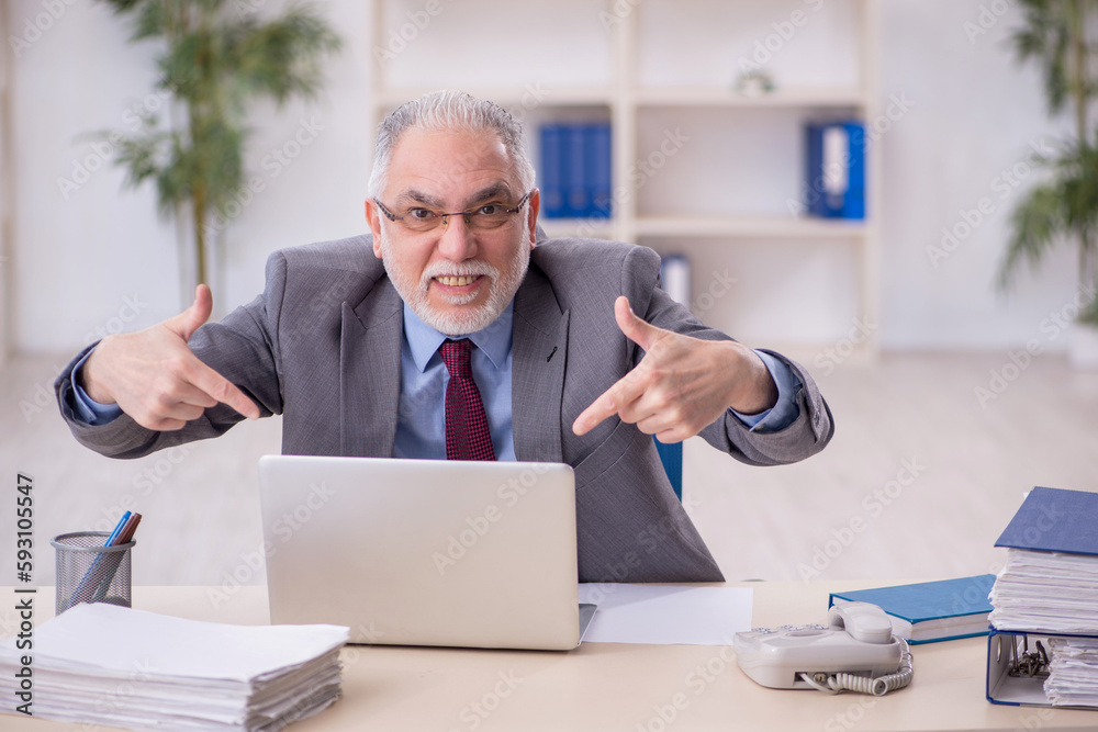 Old male employee working in the office Old male employee working in the office