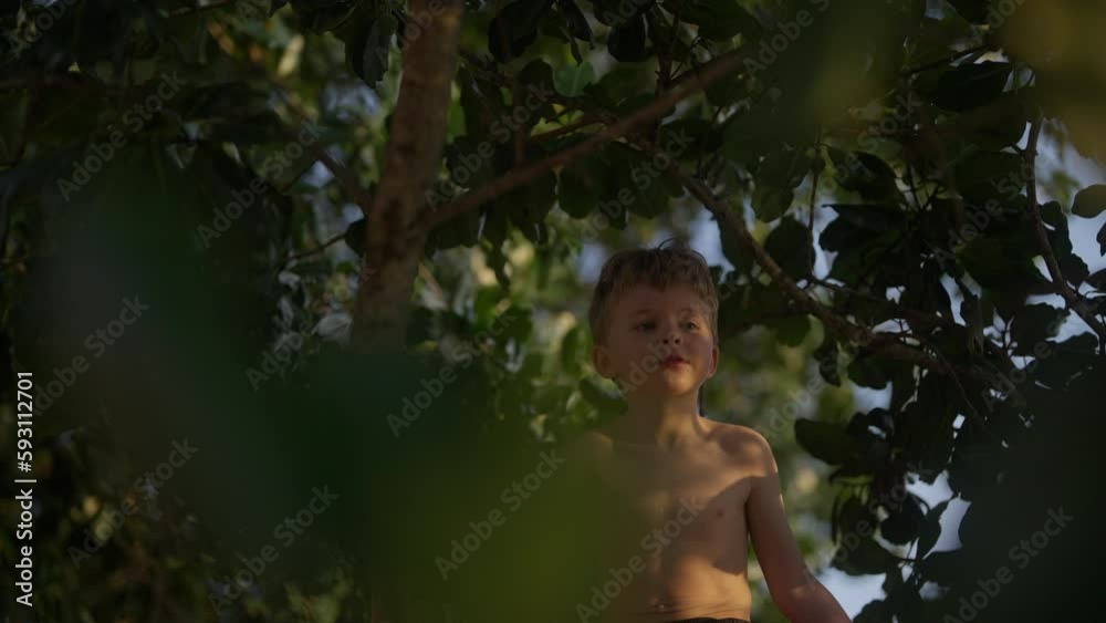 Young Boy Sitting On A Tree Looking Far Away Young Boy Sitting On A Tree Looking Far Away