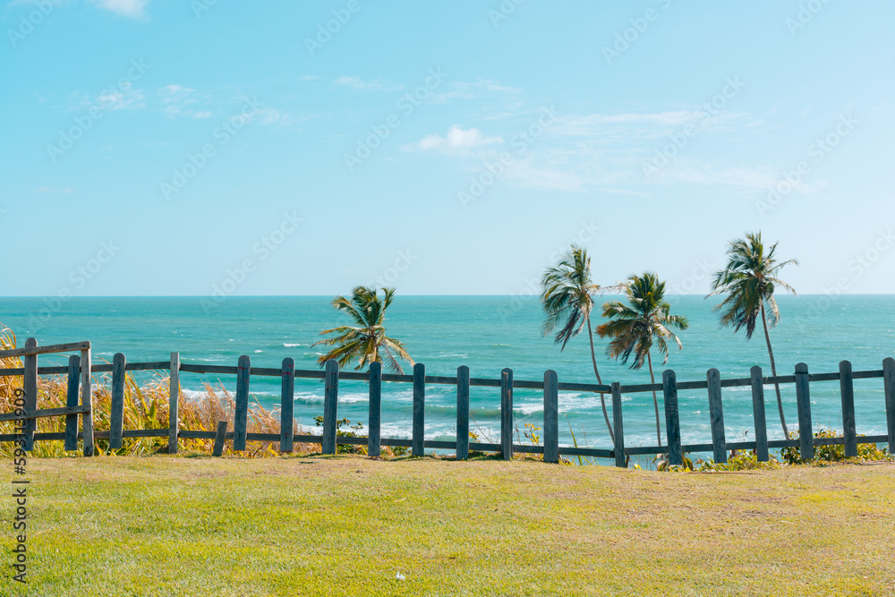 Fototapeta premium View of the beach with coconut trees in the foreground