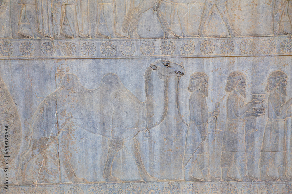 Bactrian on Eastern Stairway of Apadana, Persepolis, Iran