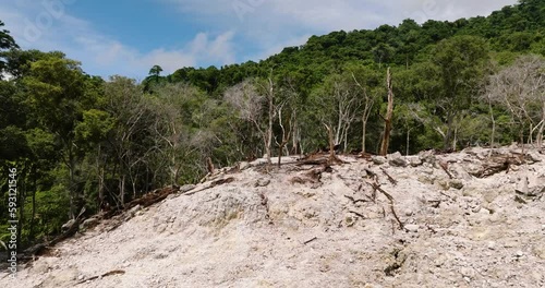 Consequences of a volcanic eruption with scorched earth and dead trees. Weh Island. Indonesia. photo