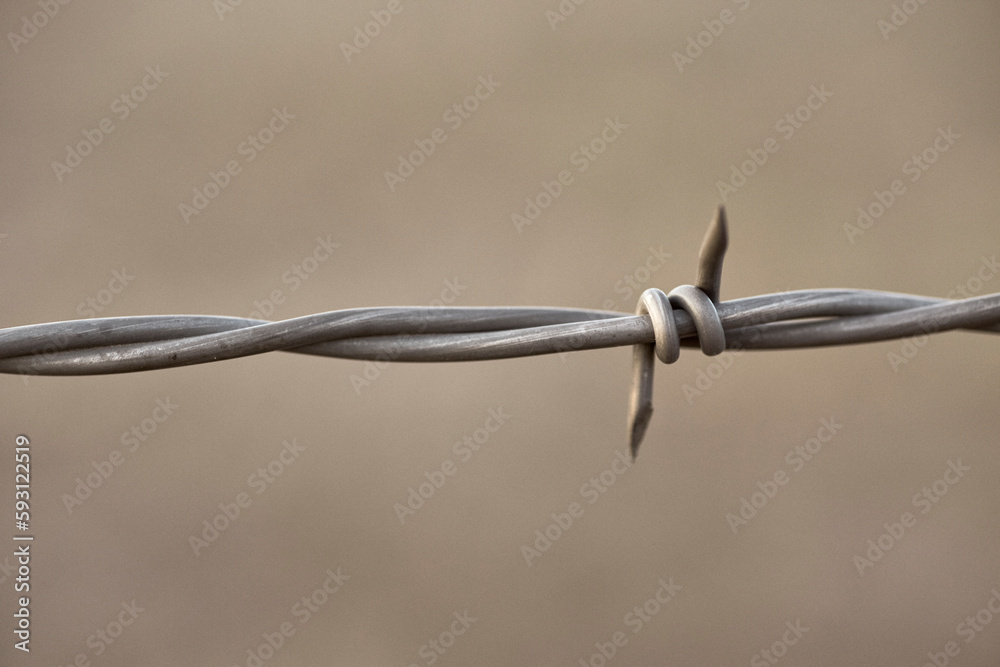 Close up of a Barb on a Barbed Wire Fence