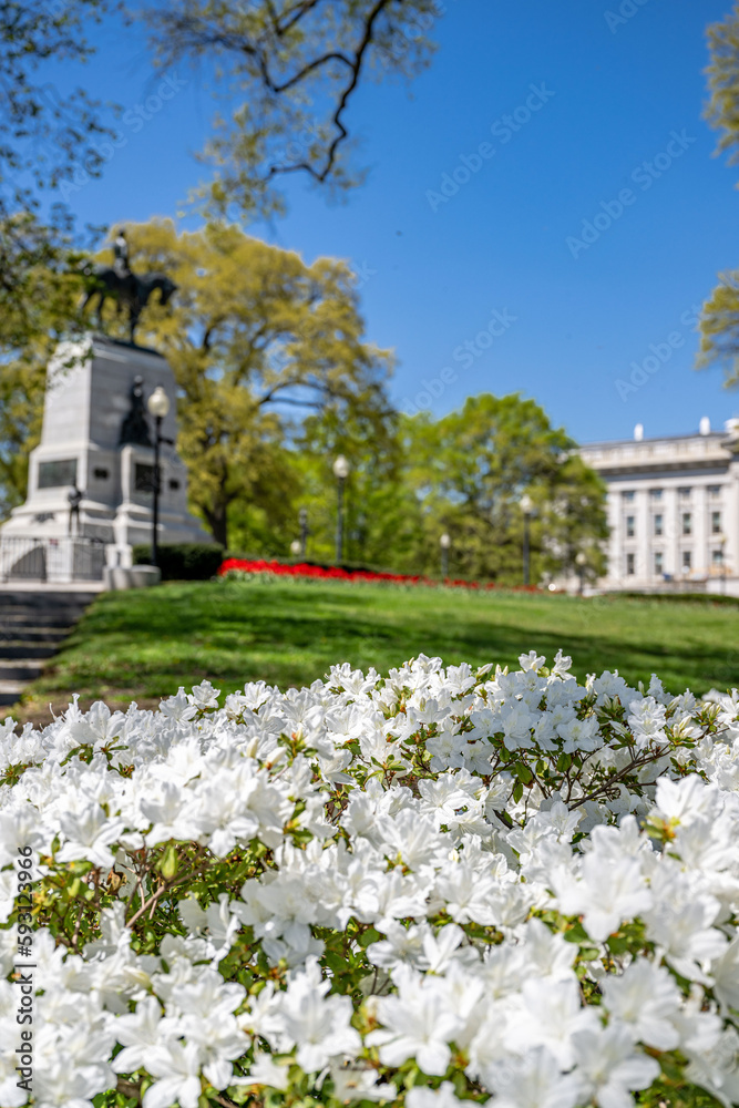 Obraz premium WASHINGTON DC