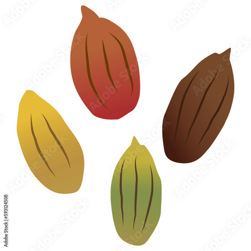 シンプルなカカオ豆のイラストセット