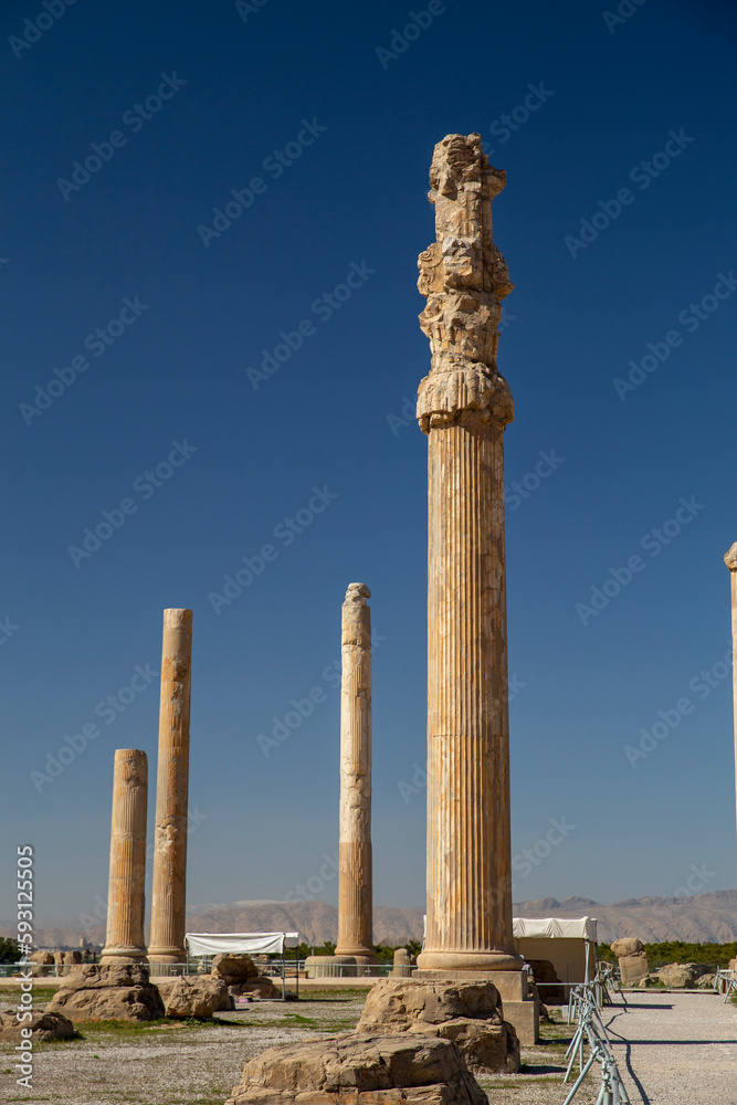 Columns on Apadana, Persepolis, Iran