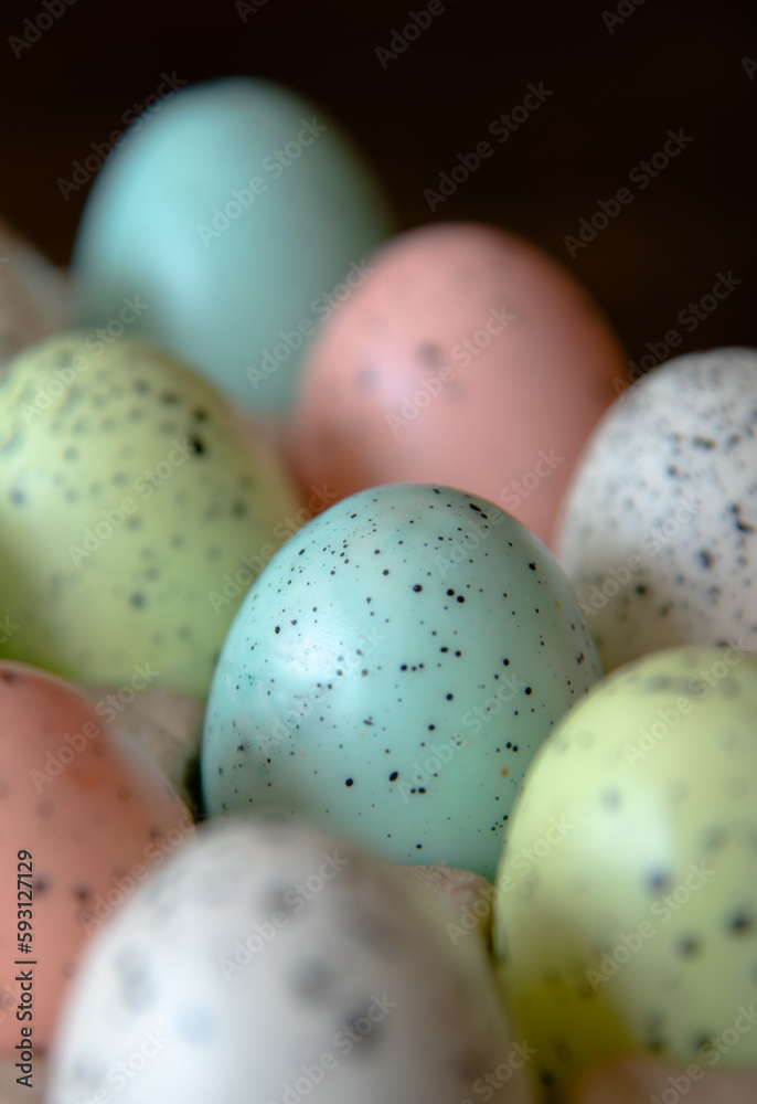 Red, blue, green, and white spotted eggs in a cardboard egg carton