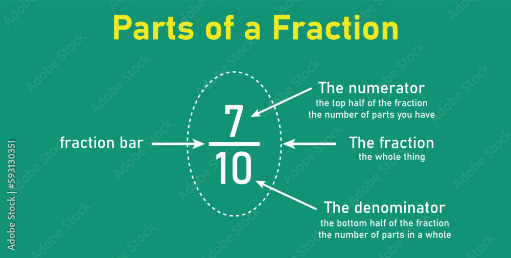 Parts of fraction number in mathematics. Numerator, denominator and fraction bar. Representation
