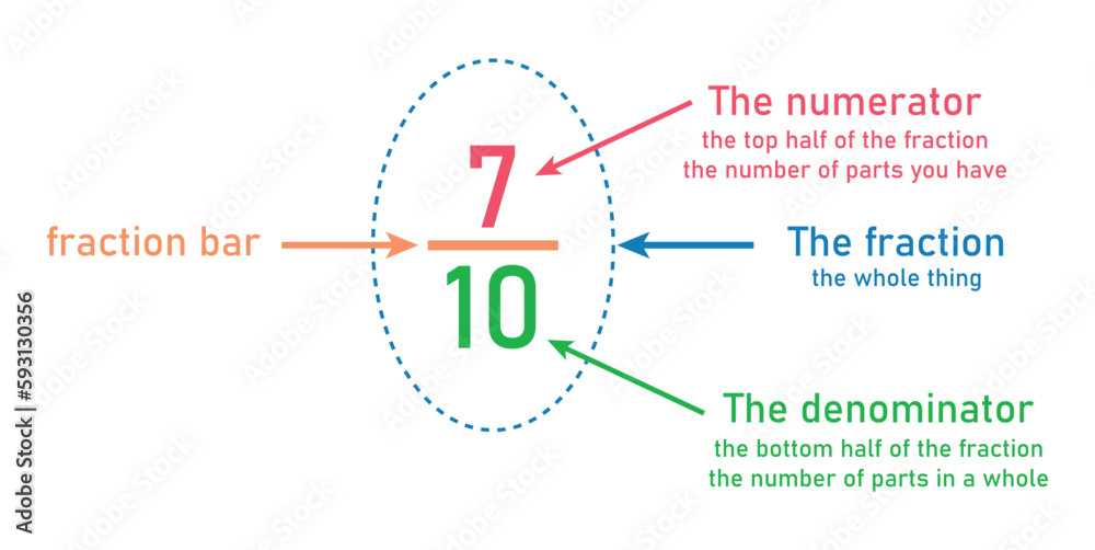 Parts of fraction number in mathematics. Numerator, denominator and fraction bar. Representation