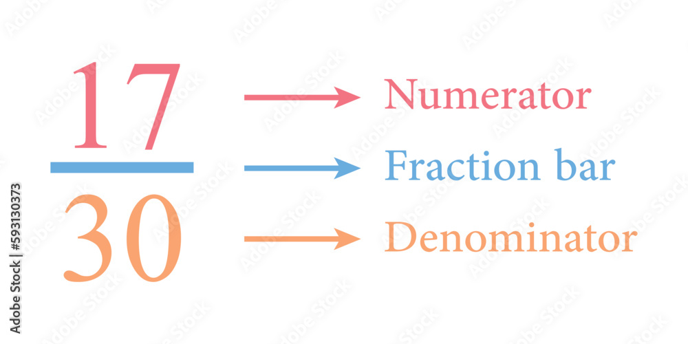 Parts of fraction number in mathematics. Numerator, denominator and fraction bar. Representation of a fraction. Vector illustration isolated on white background.