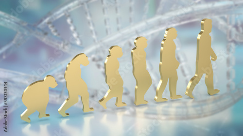 The human evolution image for education or sci concept 3d rendering