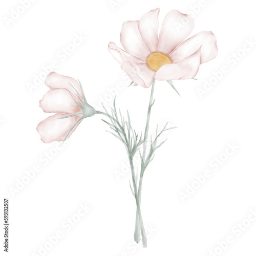 Fototapeta Naklejka Na Ścianę i Meble -  Watercolor flower pink 