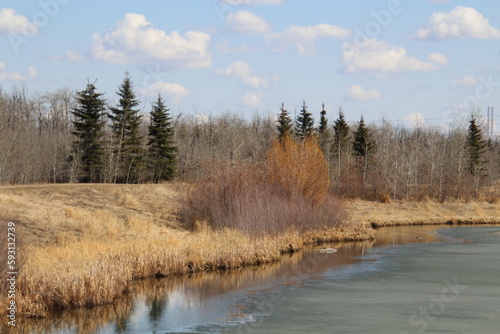 Melting In The Wetlands