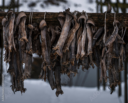 Norwegian Stockfish in the making photo