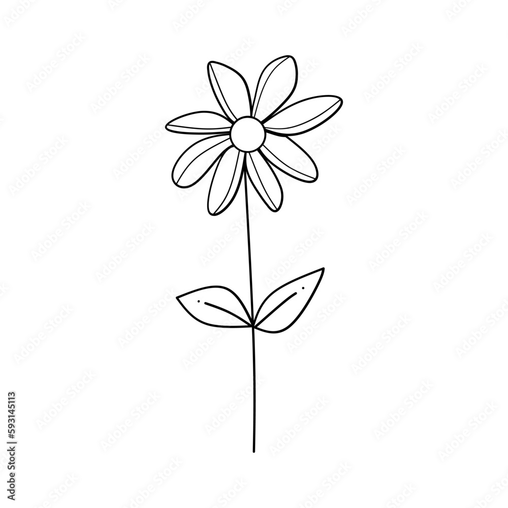 Cute flower botanical floral vector illustration outline hand drawn style design Cute flower botanical floral vector illustration outline hand drawn style design