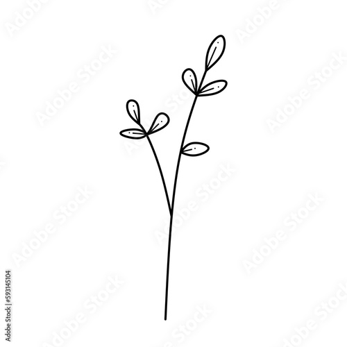 Decorative beautiful english garden botanical. Minimalist hand drawn sketch. Vector stock illustration
