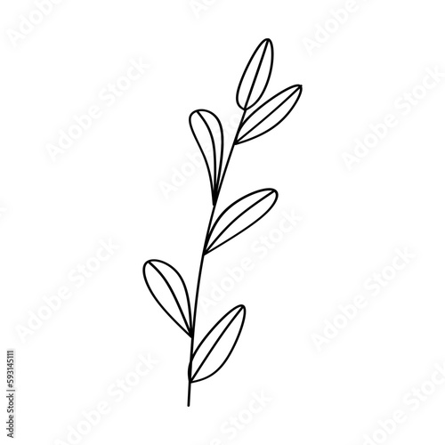 branch with leaves nature ecology isolated icon vector illustration design icon