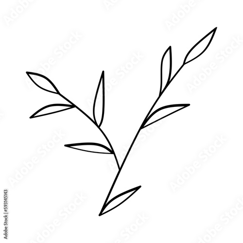 Fototapeta Naklejka Na Ścianę i Meble -  Branch with leaves plant ecology isolated icon vector illustration design icon