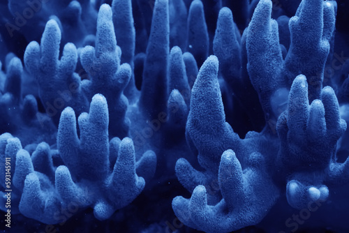 Fototapeta Naklejka Na Ścianę i Meble -  coral texture underwater background reef abstract sea