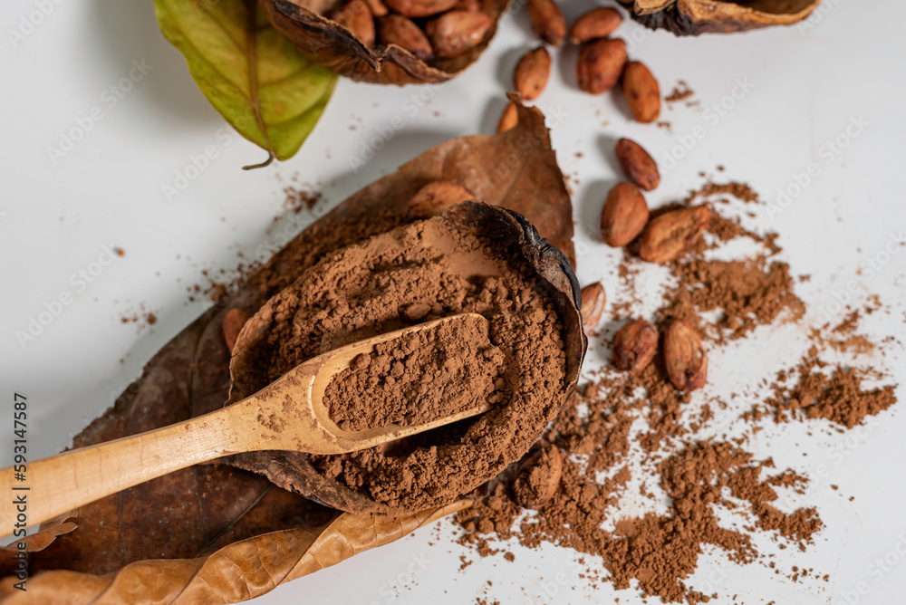 cocoa powder and cocao beans on white table.