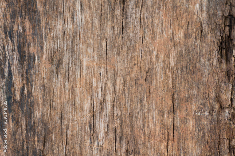 Wood texture with natural pattern, wooden background Wood texture with natural pattern, wooden background