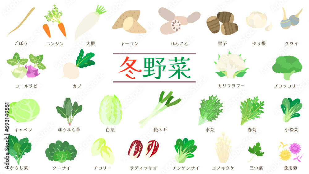 冬野菜のイラストセット。フラットなベクターイラスト。 Illustration set of winter vegetables. Flat designed vector illustrations. 冬野菜のイラストセット。フラットなベクターイラスト。 Illustration set of winter vegetables. Flat designed vector illustrations.