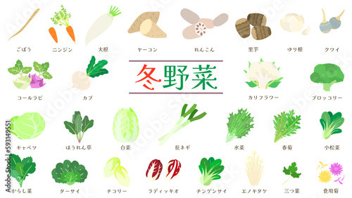 冬野菜のイラストセット。フラットなベクターイラスト。 Illustration set of winter vegetables. Flat designed vector illustrations.