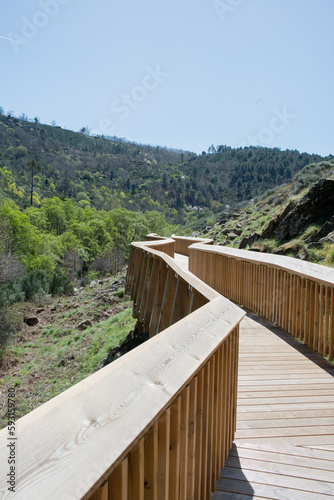 Mondego walkways. Wooden pattern with beautiful nature around