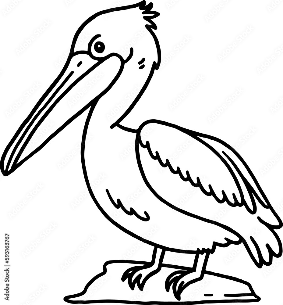 pelican coloring outline pelican coloring outline