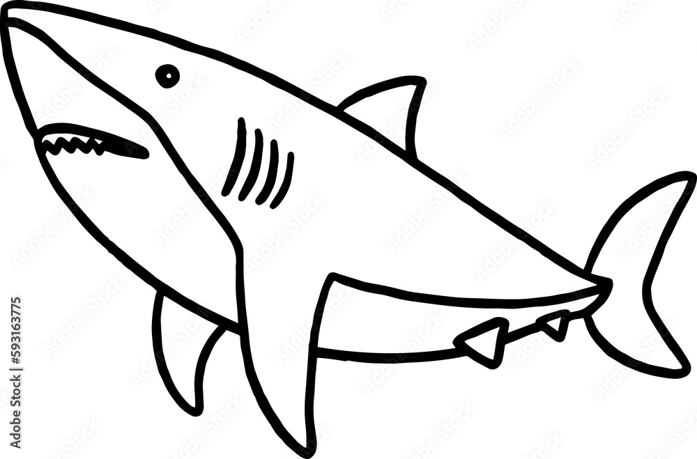 Fototapeta premium shark coloring outline