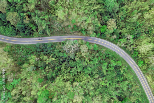 Top View of the Car on the Road Passing the Forest