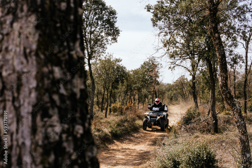stock photo of unrecognizable person riding a quad bike between forest stock photo of unrecognizable person riding a quad bike between forest