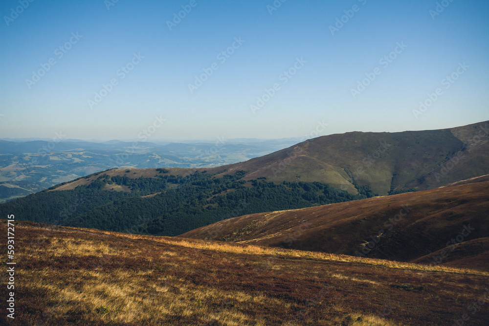 Beautiful mountain landscape during the day. Carpathians, Ukraine. An image as a background for your design and creative illustrations.