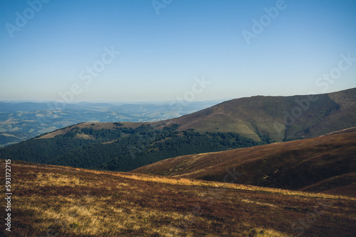 Beautiful mountain landscape during the day. Carpathians, Ukraine. An image as a background for your design and creative illustrations.