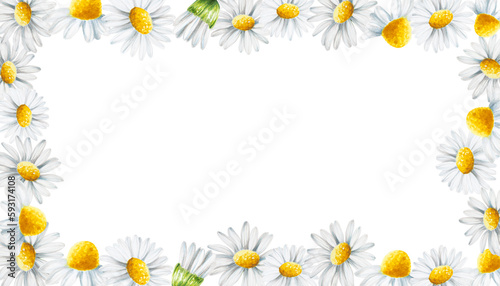 Watercolor white daisy flowers frame isolated. Chamomile. Beauty products and botany set, cosmetology and medicine. For designers, spa decoration, postcards, wrapping paper, scrapbooking, covers © Natalia