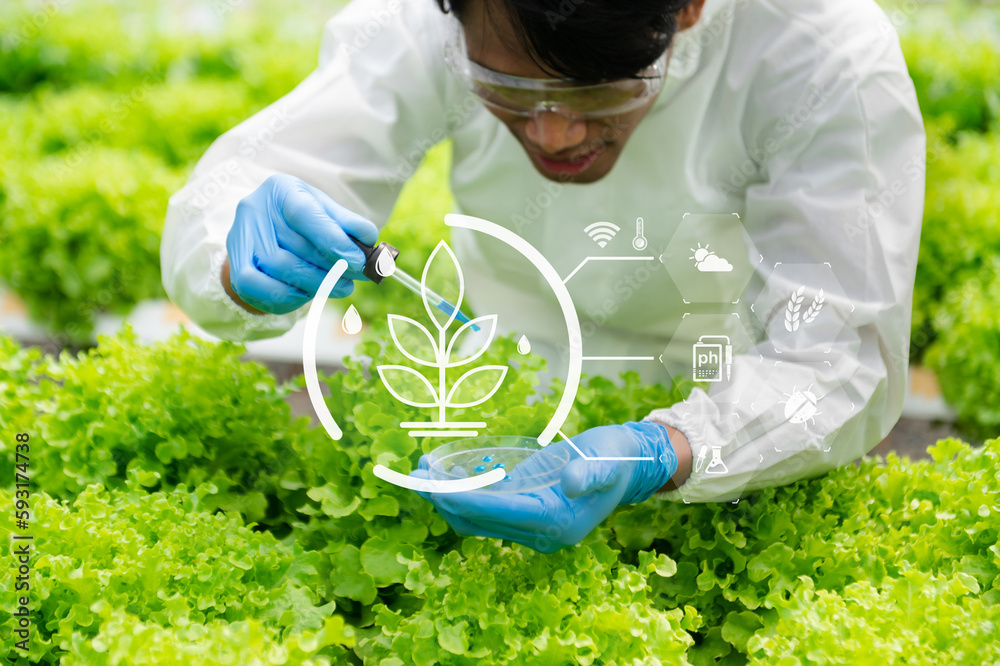 Researcher in white uniform are checking with ph strips in hydroponic