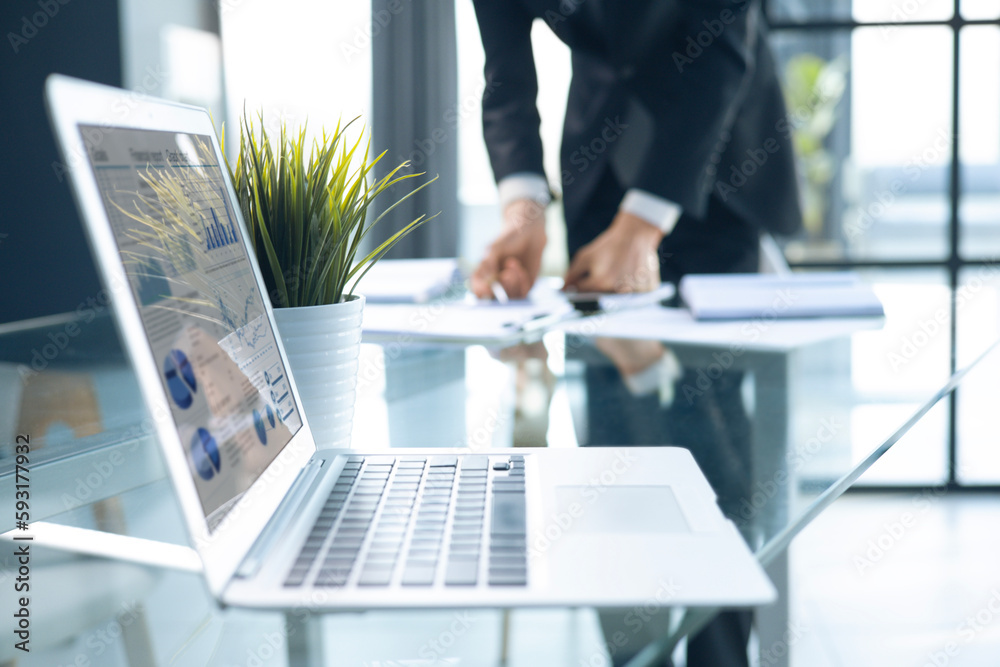 Business adviser analyzing financial figures denoting the progress in the work of the company.