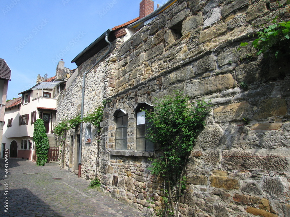 Stadtmauer von Freinsheim