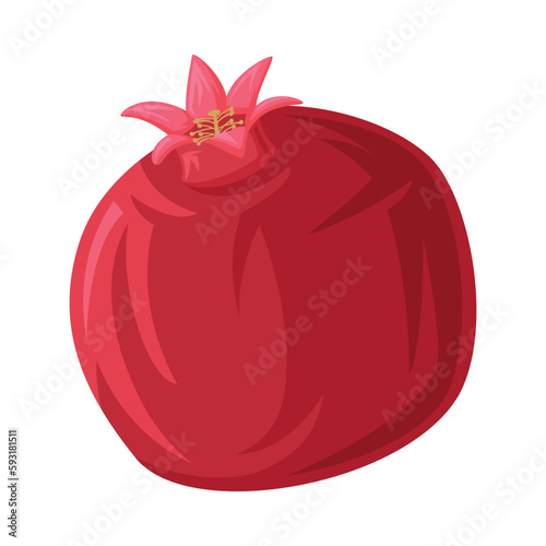 Red Pomegranate Fruit as Georgia Cultural Symbol and Country Attribute Vector Illustration