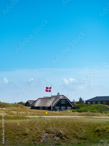 Vacation home in countryside in Denmark with thatched roof and Danish flag. 
