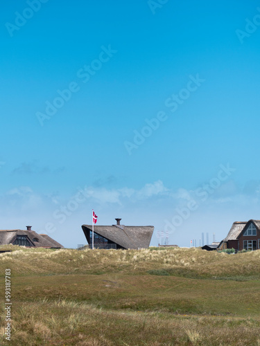 Modern Vacation home in countryside in Denmark with thatched roof and Danish flag. 