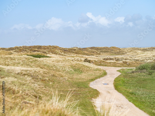 Path going through Danish grassy dune landscape on west coast of Denmark on the island of Fanø