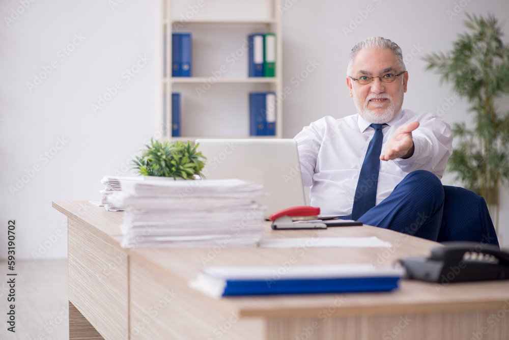 Old male employee working in the office Old male employee working in the office