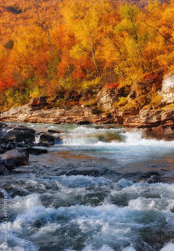 Flowing water in autumn. Abisko national park in north of Sweden. Flowing water in autumn. Abisko national park in north of Sweden.