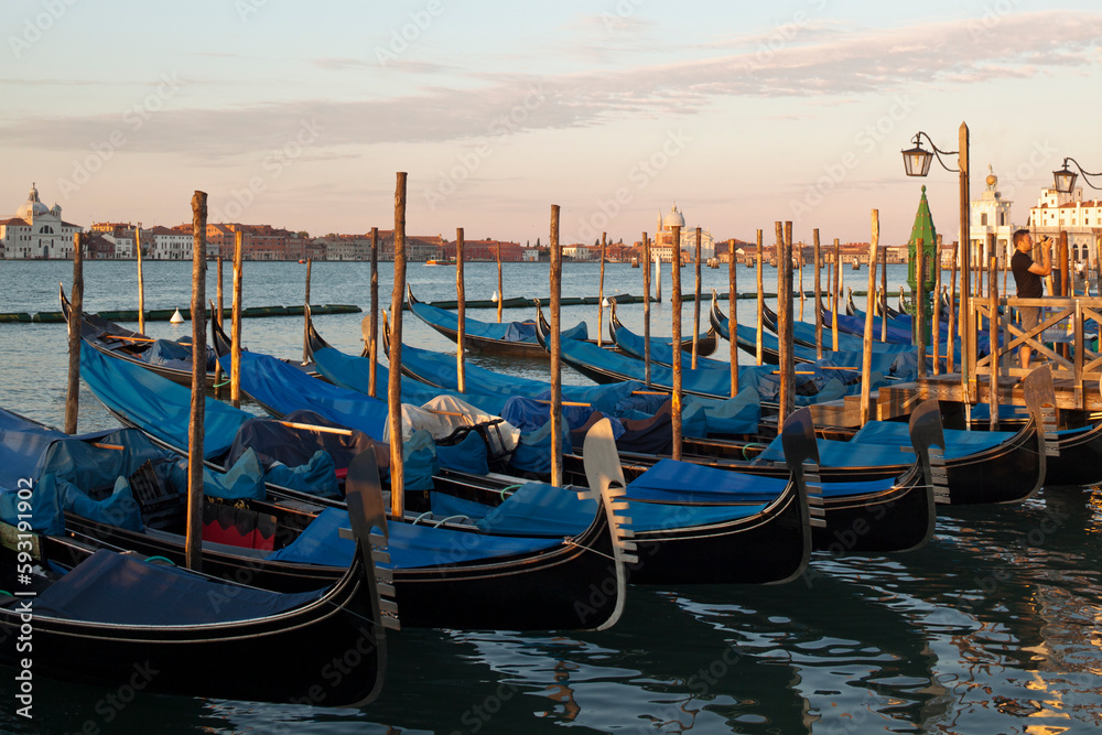Venezia. Gondole al palo nel Bacino di San Marco