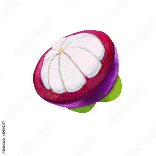 Watercolor and drawing for fresh sweet mangosteen. Digital painting of fruits illustration.
